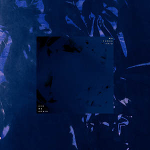 老太婆脱了裤子让我玩
